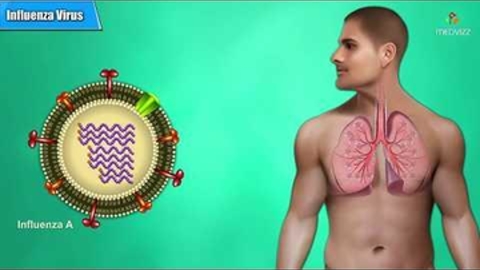 Microbiology Animation