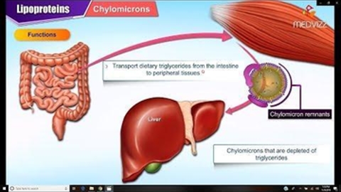 Structure , function and metabolism : Medical Biochemistry