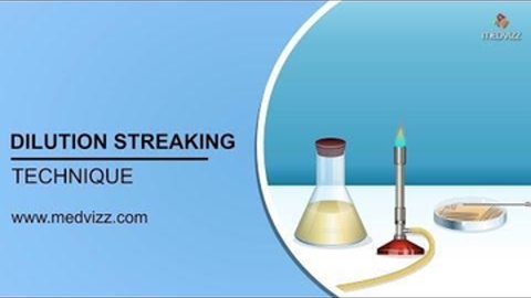  Microbiology Animations