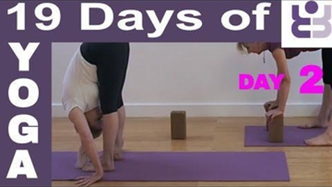 Day 2 - Iyengar Yoga Sequence