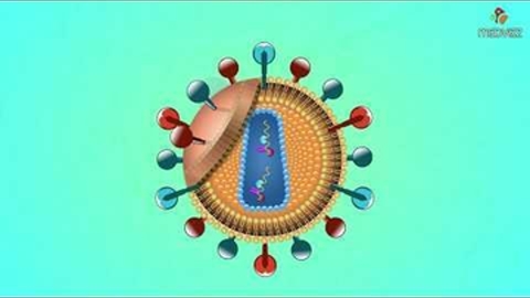 Microbiology Medical Animations