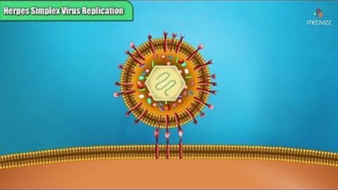 Microbiology Animations